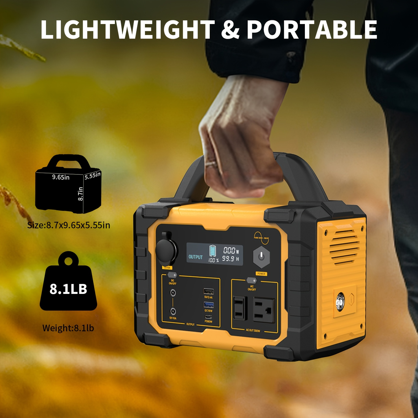 Portable Power Station 294Wh 300W with 600W Peak, Eight Outputs, AC, DC, USB-C and LED Light