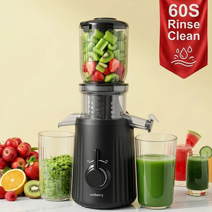 Masticating Juicer Cold Press - 4.25" Wide Feed Chute Auto-Feed Slow Juicer for Whole Fruits & Vegetables