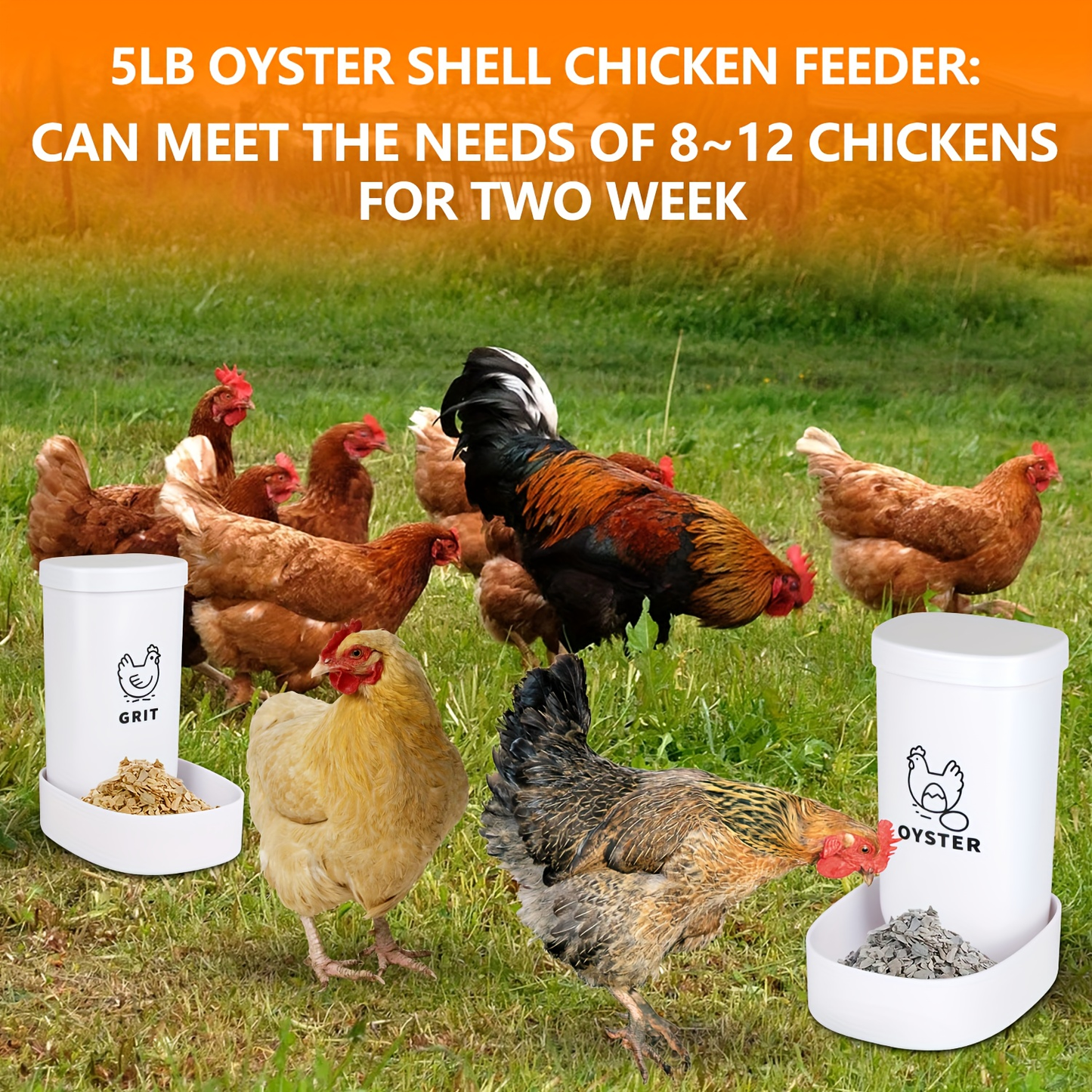 Oyster Shell Feeder & Grit Feeder Set Gravity Fed Waterproof 2-Pack