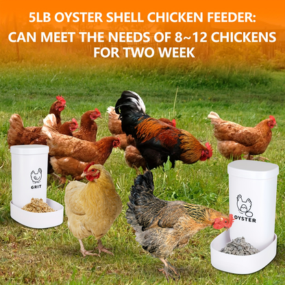 Oyster Shell Feeder & Grit Feeder Set Gravity Fed Waterproof 2-Pack