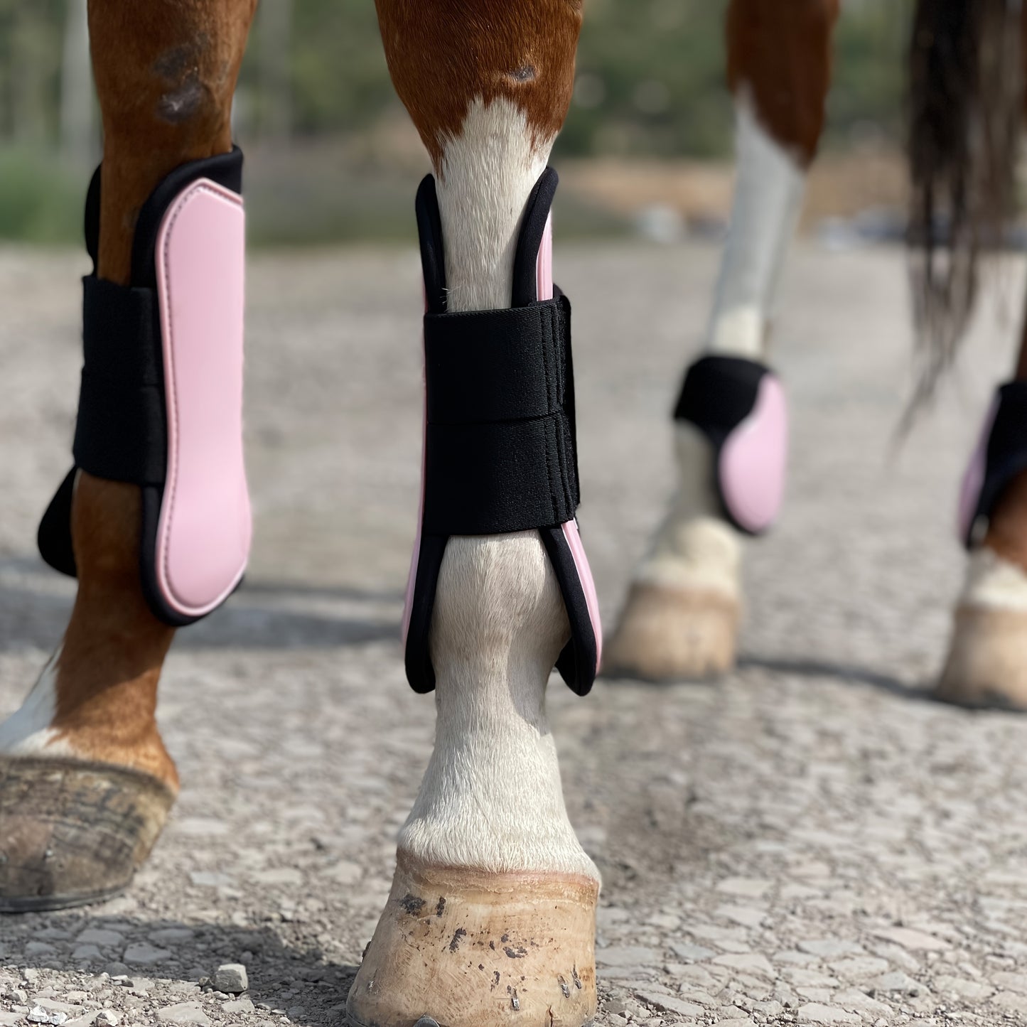 Horse Boots Set of 4 – Open Front Tendon & Fetlock Leg Protection Boots, PU Neoprene Splint Boots for Training, Racing, Riding & Jumping