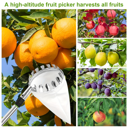 Stainless Steel Fruit Picker with Adjustable 63 to 157 Inch Extension Pole and Non-Slip Handle for Orchard Harvesting
