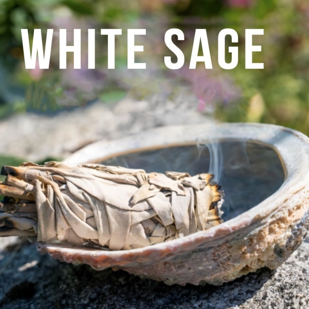 Aromatherapy Incense Sticks Kit, White Sage, Cedarwood, Dragon's Blood, Eucalyptus & Lavender