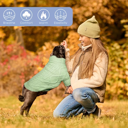 Dog Sweater Turtleneck Warm Knit Pullover with Soft Long Sleeves for Small Medium Breeds, All-Season Machine Washable Pet Sweater