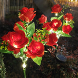 2 red roses 7 roses