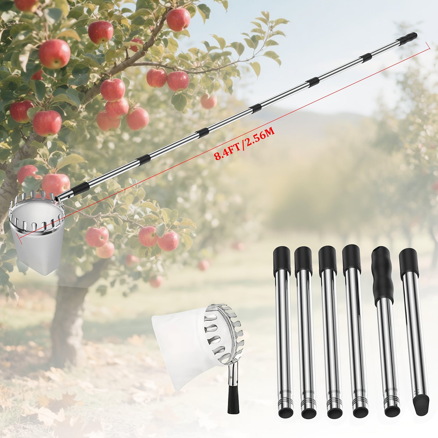 Stainless Steel Fruit Picker with Adjustable 63 to 157 Inch Extension Pole and Non-Slip Handle for Orchard Harvesting