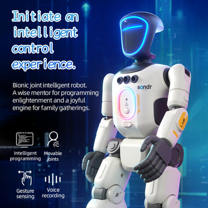 Smart Humanoid Robot Toy with Gesture Sensor & Voice Recorder, Advanced Pose-Controlled Joints, Smart Remote Control