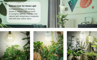 Grow Light Bulb A19 E26 Full Spectrum 9W 100W Equivalent | Natural White 4000K LED Plant Bulb for Indoor Plants Seed Starting | 2 4 6 12