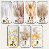 51 pcs Pampas Grass Decor