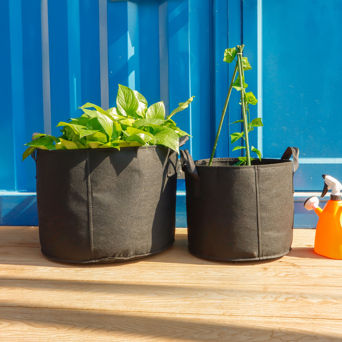 Four-Pack Black Grow Bags with Handles in 5-Gallon or 10-Gallon-Labeled Size Options for Container Gardening