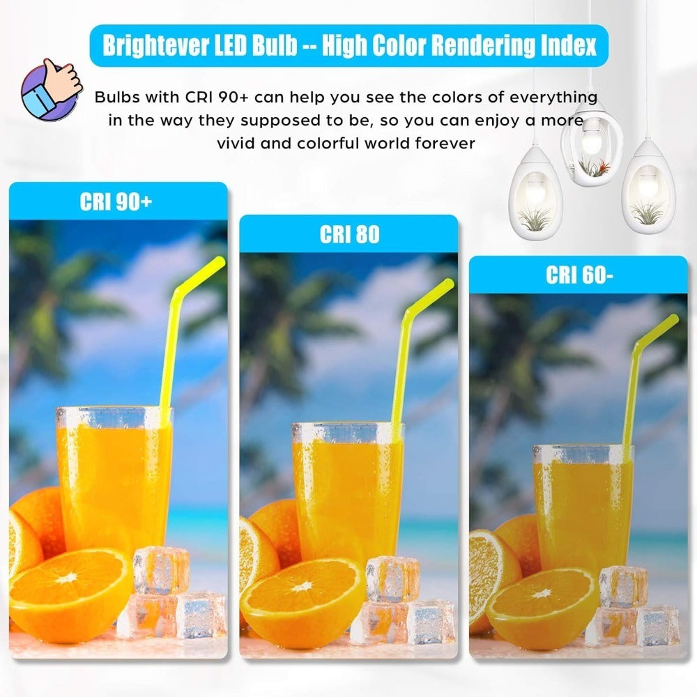 A19 LED Light Bulbs with E26 Base, 13W 1500-Lumen Rating, 3000K or 5000K Light in 12- or 24-Count Packs