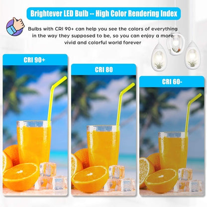 A19 LED Light Bulbs with E26 Base, 13W 1500-Lumen Rating, 3000K or 5000K Light in 12- or 24-Count Packs