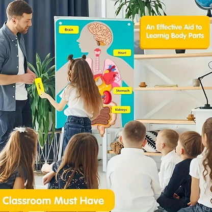 Human Body Felt Board Anatomy Model – 3D Felt Organ Science Educational Toy for Kids Ages 5+, Homeschool Biology Classroom Teaching Aid