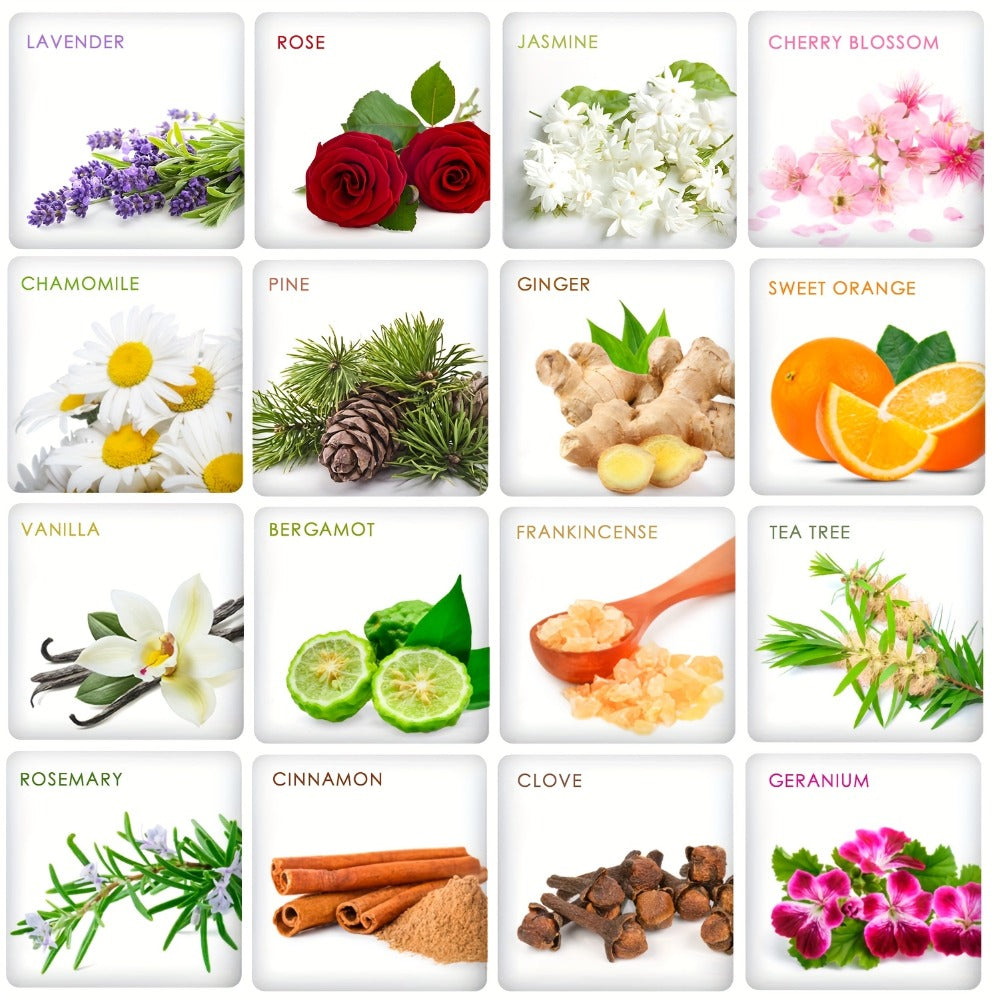 Essential Oil Gift Set with 12, 26, 32 or 48 Five-Milliliter Bottles and Assorted Scent Labels