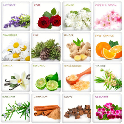 Essential Oil Gift Set with 12, 26, 32 or 48 Five-Milliliter Bottles and Assorted Scent Labels