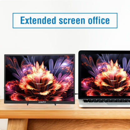 Anmite 10.5" IPS Portable Monitor 1280P 100% sRGB USB-C for an Everyday Personal Care Routine