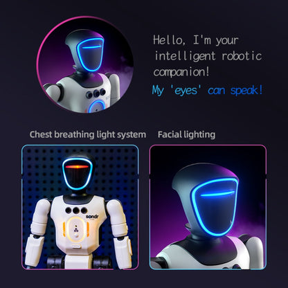 Smart Humanoid Robot Toy with Gesture Sensor & Voice Recorder, Advanced Pose-Controlled Joints, Smart Remote Control