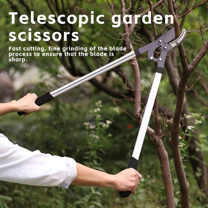Telescoping Long-Handle Pruning Shears with Silver-Color Shafts, Black Grips and Curved Bypass Blade