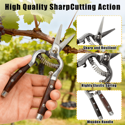 Garden Scissors 2-Pack Pruning Shears Set Curved and Straight Bypass Blades 8-Inch Ultra Sharp Plant for Garden, Patio and Yard Use