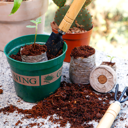 Peat Pellets Seed Starter 35mm Compressed | 50/100pcs Expandable Coir Discs for Seedlings Vegetables Flowers Herbs | Indoor Outdoor Seed
