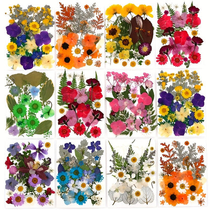 Dried Pressed Flowers Kit 500pcs – Natural Real Flower Petals & Leaves for Resin Art, Nail Art, Jewelry Making, Scrapbooking