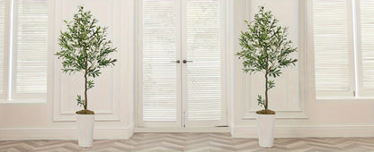 Artificial Olive Tree with Black or White Pot in 6 and 8 Foot Height Checkouts for Indoor Decor