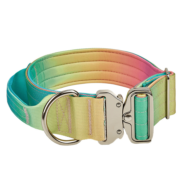 Gradient Dog Collar with Grab Handle, Quick-Release Metal Buckle and D-Ring in Three Size-Color Options