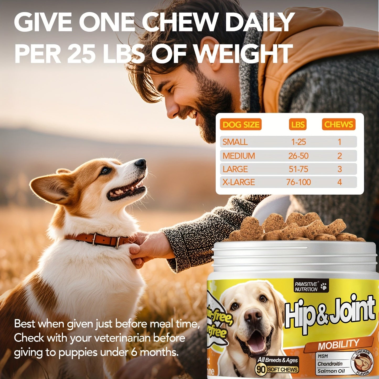 Hip & Joint Supplement for Dogs with Glucosamine & Chondroitin – MSM, Alaskan Salmon Oil Soft Chews for Mobility & Flexibility