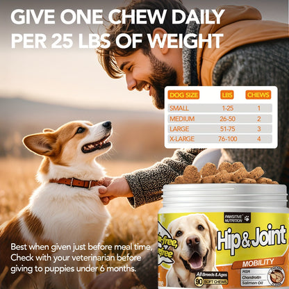 Hip & Joint Supplement for Dogs with Glucosamine & Chondroitin – MSM, Alaskan Salmon Oil Soft Chews for Mobility & Flexibility