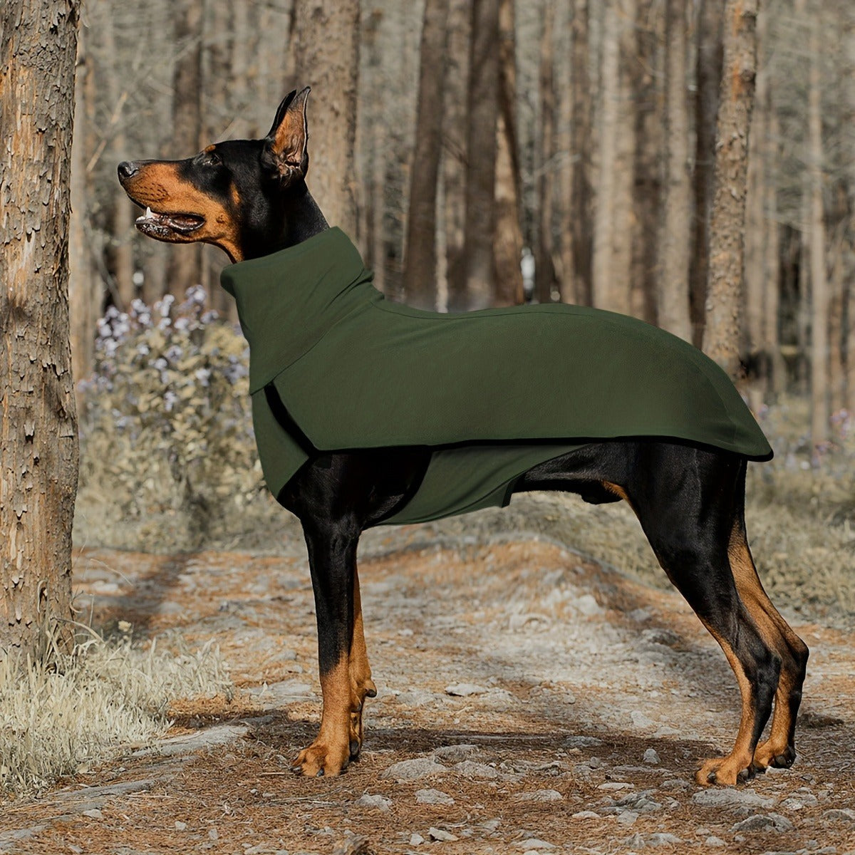 High-Neck Pullover Dog Coat in Burgundy, Navy or Fern Green with Selected XL Through 4XL Sizes