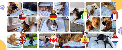 Dog Cooling Mat Self-Cooling Pad for Dogs & Cats – Pressure Activated Arc-Chill Fiber, Non-Toxic Washable Foldable Pet Cool Mat for Summer