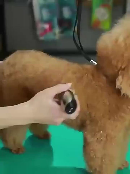 Pet Hair Trimmer USB Rechargeable Wireless Clipper for Dogs & Cats – Low Noise Electric Grooming Scissors, Lithium Battery