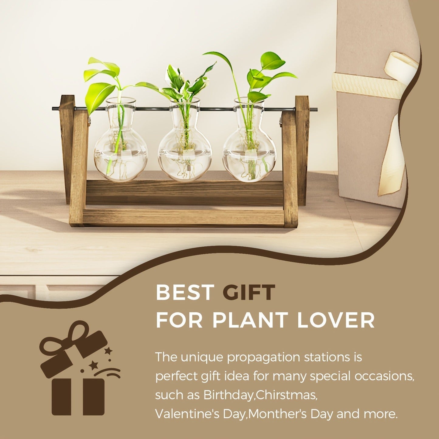 Glass Terrarium Heart Shaped Hydroponic Vase with Wooden Stand – Elegant Plant Propagation Station for Home Decor