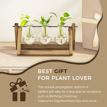Glass Terrarium Heart Shaped Hydroponic Vase with Wooden Stand – Elegant Plant Propagation Station for Home Decor