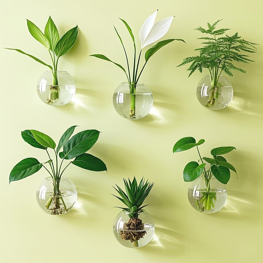 Wall Hanging Glass Terrarium Planter Oblate Flower Vase for Hydroponics Plants Bathroom Home Office Living Room Decor Set of 2/4/6