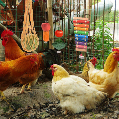 Chicken Coop Toys Set – Xylophone, Swing, Mirror, Step Ladder & Pecking Toys for Hens, Wood & Colorful Bead Enrichment Accessories
