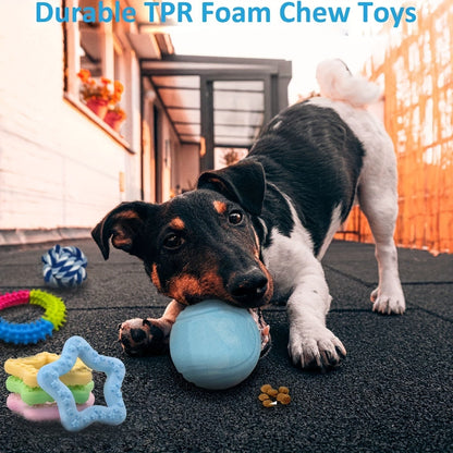 Puppy Toys Set – Assorted Teething & Play Bundle for Small Dogs with Chew Toys, Rope Toys, Treat Balls & Squeaky Toys