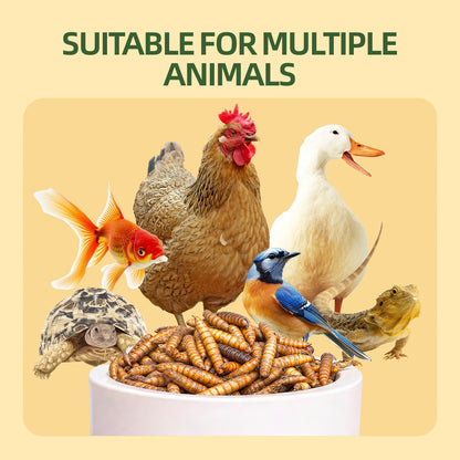 Dried Black Soldier Fly Larvae for Chickens – High Protein BSF Larvae Treats with Calcium for Laying Hens Ducks Quail Birds Reptiles Non-GMO