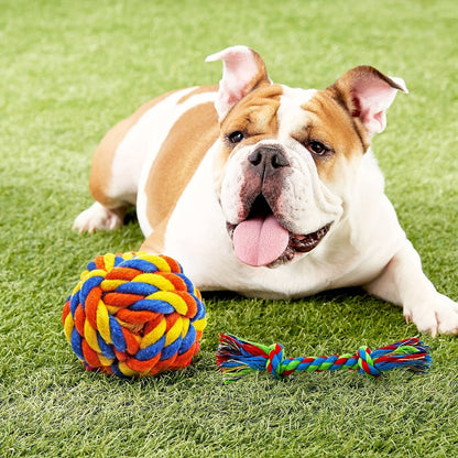 Puppy Chew Toys 16-Pack – Teething Bundle for Small Dogs & Aggressive Chewers with Squeaky Toys & IQ Treat Ball