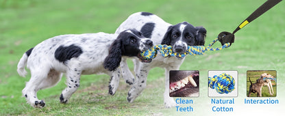 Bungee Dog Tug Toy Outdoor Hanging from Tree Height Adjustable 19.7 Ft Elastic Cord Tether with Chew Rope