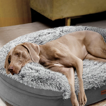 Egg-Crate Foam Dog Bed with Plush Bolsters and Rectangle or Semicircle Large-Size Shape Options