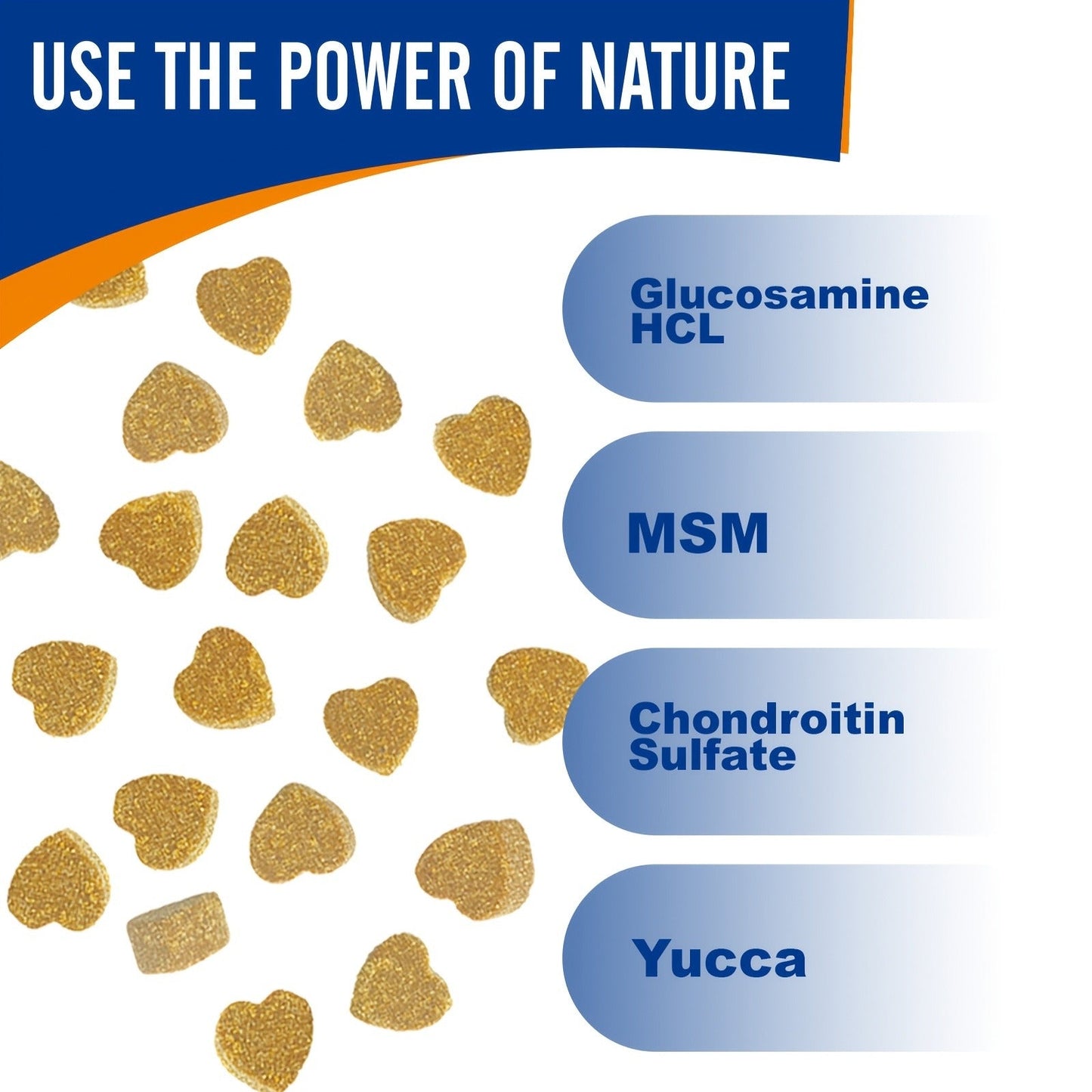 Chicken-Flavor Dog Supplement Soft Chews with Glucosamine, Chondroitin, MSM and Vitamins, 120 Count