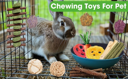 Small Animal Dental Treats 21pcs – Natural Timothy Hay Variety Set with Hay Sticks, Timothy Cakes & Carrot Strawberry Treats for Rabbits
