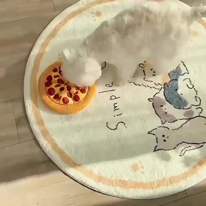 Dog Toy Pizza or Donut Plush with Built-In Squeaker and One or Two-Piece Pack Options for All Breeds