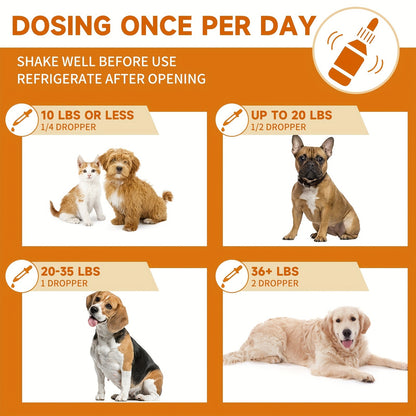 Pet Gut Wellness Drops with Black Walnut & Pumpkin Seed – Digestive Supplement for Dogs & Cats, Flora Balance