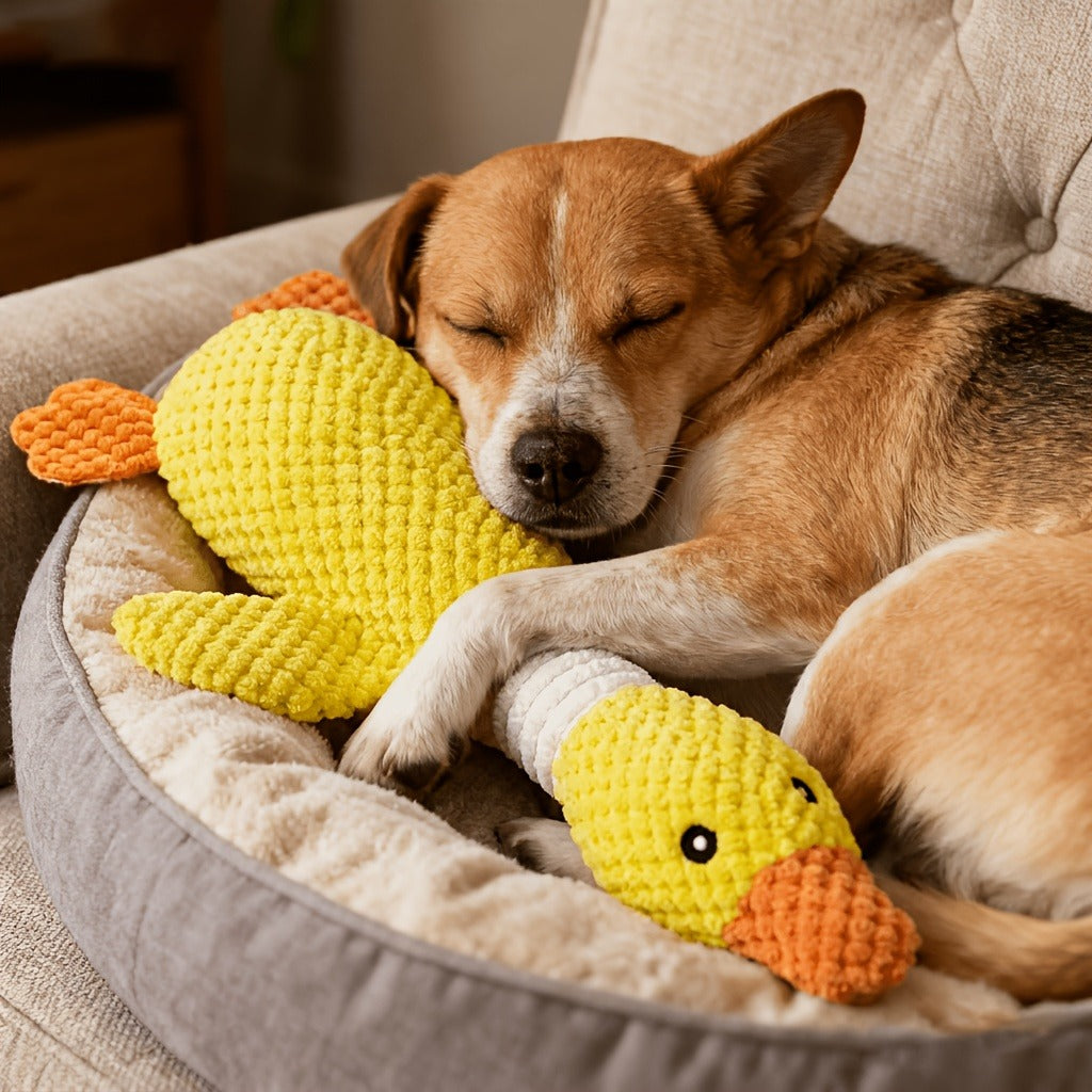Squeaky Plush Dog Toys for Small Medium Large Dogs – Crinkle Stuffed Animal Chew Toy for Puppies, Shark & Platypus Design
