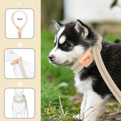 Dog Slip Leash and Harness 2-in-1 Rope Lead – No Pull All-in-One Training Leash for Puppies & Small Dogs, Adjustable Slip Lead with Soft