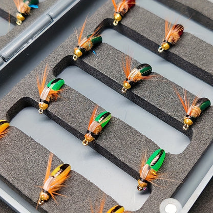 Trout Fly Fishing Flies Kit 24pcs – Brass Bead Head Caddis Nymph Lures Mixed Styles with Tackle Box, High Carbon Steel #10 Hooks for Bass