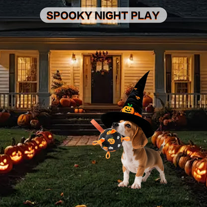 Dog Toy Halloween Pumpkin-Ghost Football with Pump, Strap and 6 or 7.28-Inch Size Options for Dogs