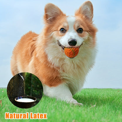 Latex Squeaky Dog Balls 4 Pack Soft Bouncy Sport Fetch Balls for Puppies & Small Dogs – 2.8 Inch Vibrant Color Chew Throw & Fetch Toy Set